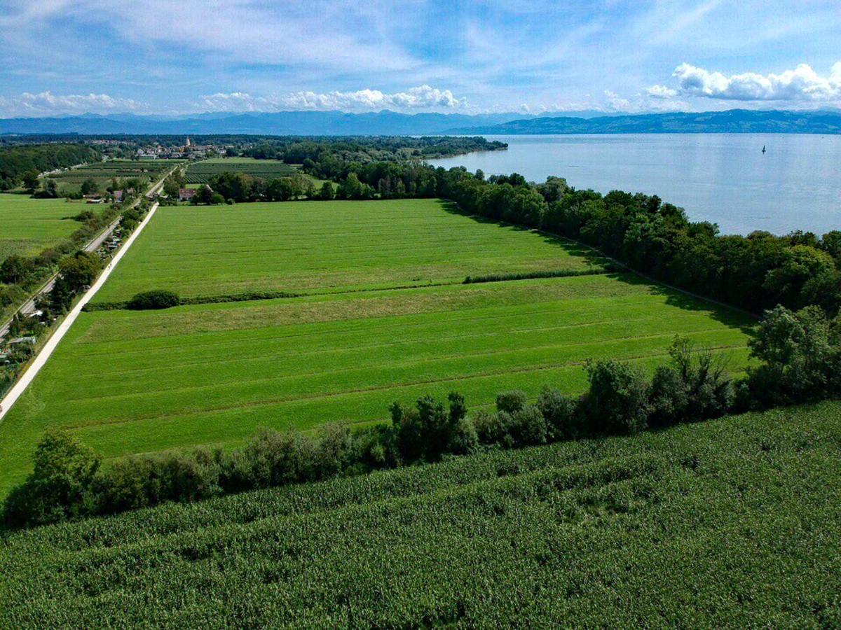 Wohlfuehlloft Seekretzer Mit Privatem Seezugang Фрідріхсгафен Екстер'єр фото