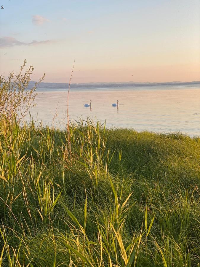 Wohlfuehlloft Seekretzer Mit Privatem Seezugang Фрідріхсгафен Екстер'єр фото