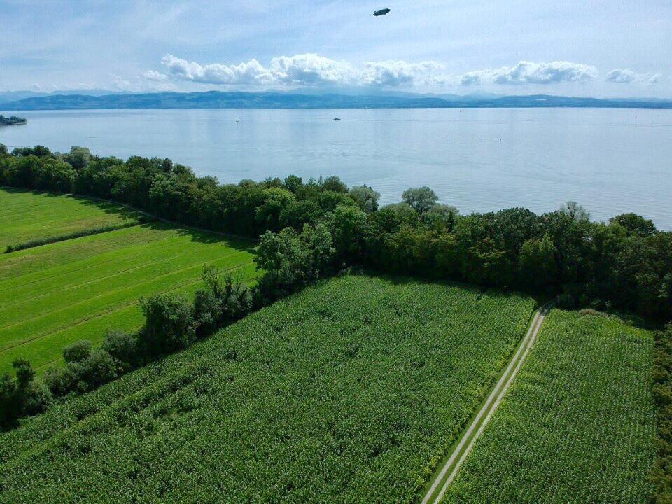 Wohlfuehlloft Seekretzer Mit Privatem Seezugang Фрідріхсгафен Екстер'єр фото